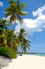 Image showing Beach with white sand