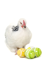 Image showing Chicken and easter eggs