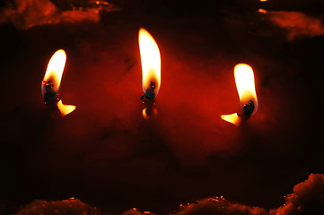 Image showing Butter lamps