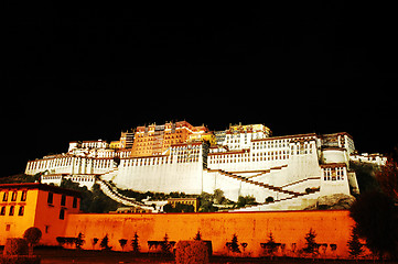 Image showing Night scenes of the Potala Palace