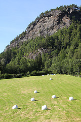 Image showing Agriculture in Norway