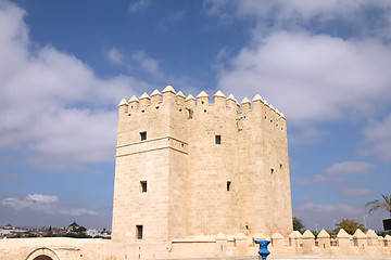 Image showing Medieval fortification