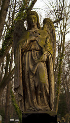 Image showing graves