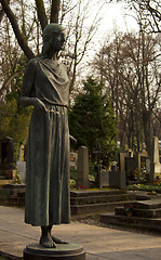 Image showing graves