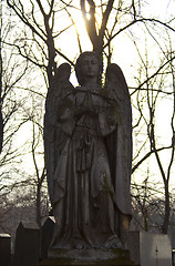 Image showing graves