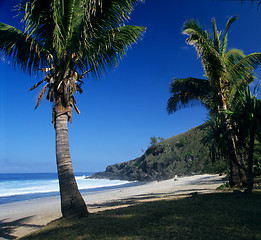 Image showing Grande Anse beach, La Reunion island 