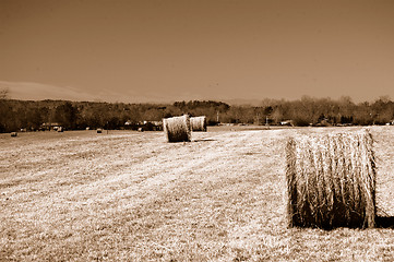 Image showing Hayfield