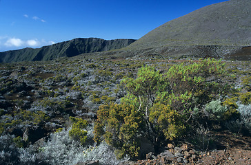 Image showing Piton Le Maido, La Reunion Island