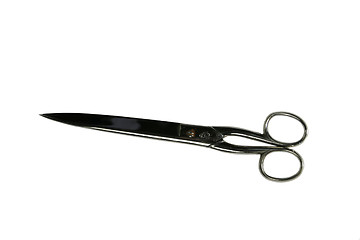 Image showing Scissors