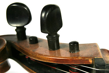 Image showing Cello Detail