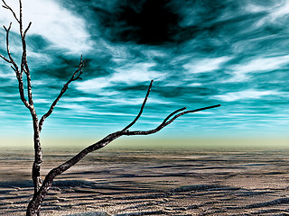 Image showing desolate land