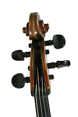 Image showing Cello Scroll