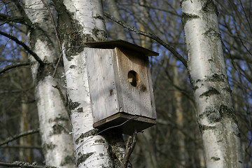 Image showing Bird House