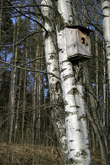 Image showing Bird House