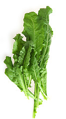 Image showing Fresh rocket leaves