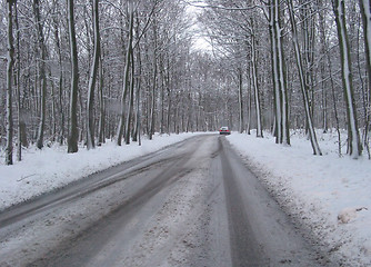 Image showing Winter