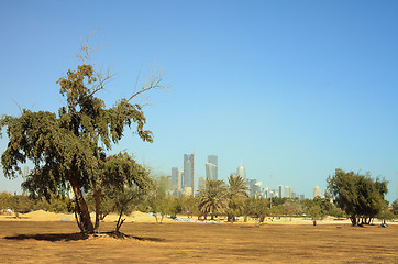 Image showing Greening Qatar