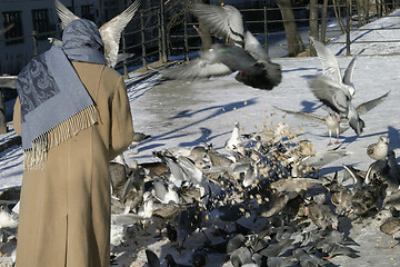 Image showing Feeding Hungry Birds