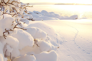 Image showing Winter sea landscape