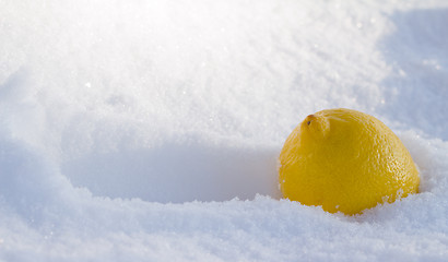 Image showing Lemon In snow