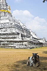 Image showing Wat Phu Khao Thong