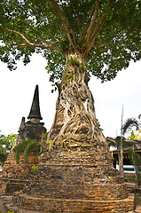 Image showing Wat Mae Nang Pleum