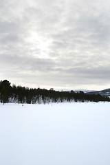 Image showing Winter Landscape