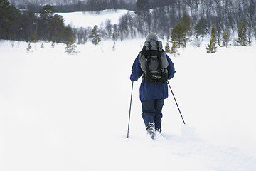 Image showing Skiiing