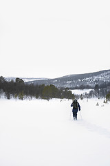 Image showing Mountain Skiing