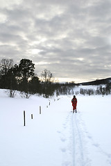 Image showing Cross Country Skiing