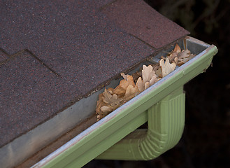 Image showing gutter blocked by dry leaves