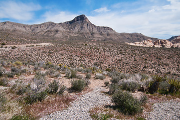 Image showing Red Rock Canyon