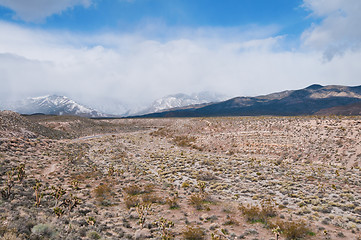 Image showing Mountains and Desert