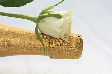 Image showing White rose on a champagne bottle