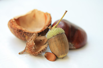 Image showing Autumn still life