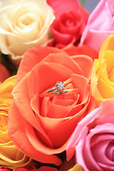 Image showing wedding set in a rose