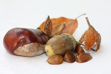 Image showing Autumn still life