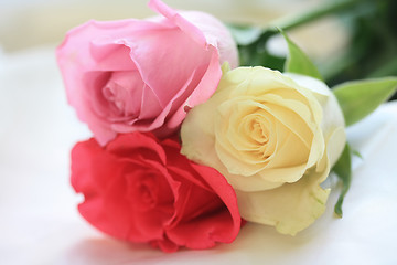 Image showing rose trio