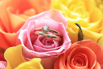 Image showing Bridal set on a pink rose