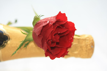 Image showing rose and champagne