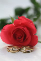 Image showing Double wedding set and a rose