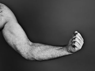 Image showing man fist