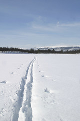 Image showing Ski Trail