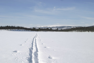 Image showing Ski Trail