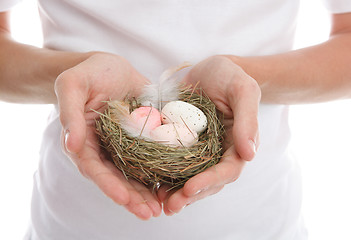 Image showing Eggs in heart cupped hands