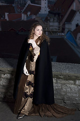 Image showing Beauty in medieval dress