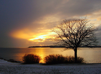 Image showing Gold Winter Sunset in Finland