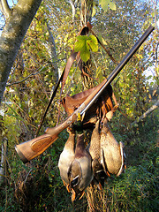 Image showing Hunting a duck