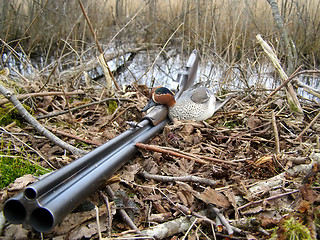 Image showing Hunting a duck