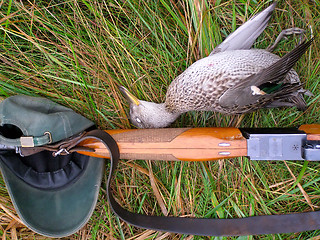 Image showing Hunting a duck